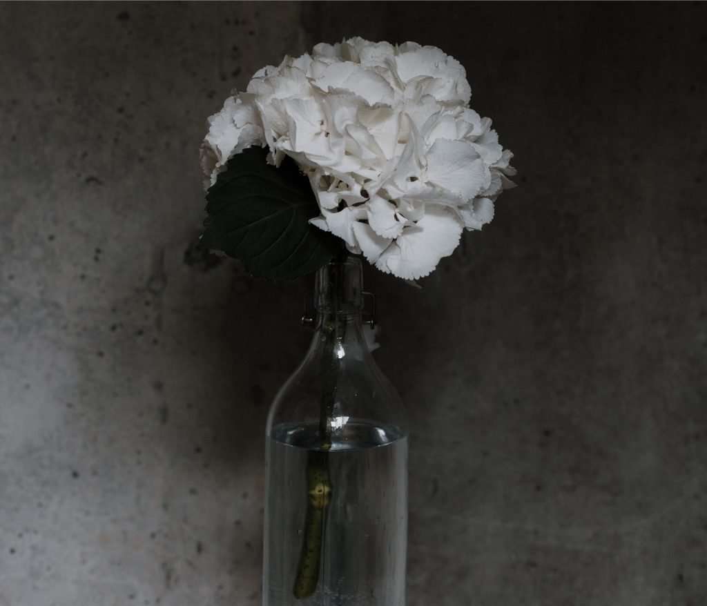 This not Time in a Bottle, but a flower in a bottle.