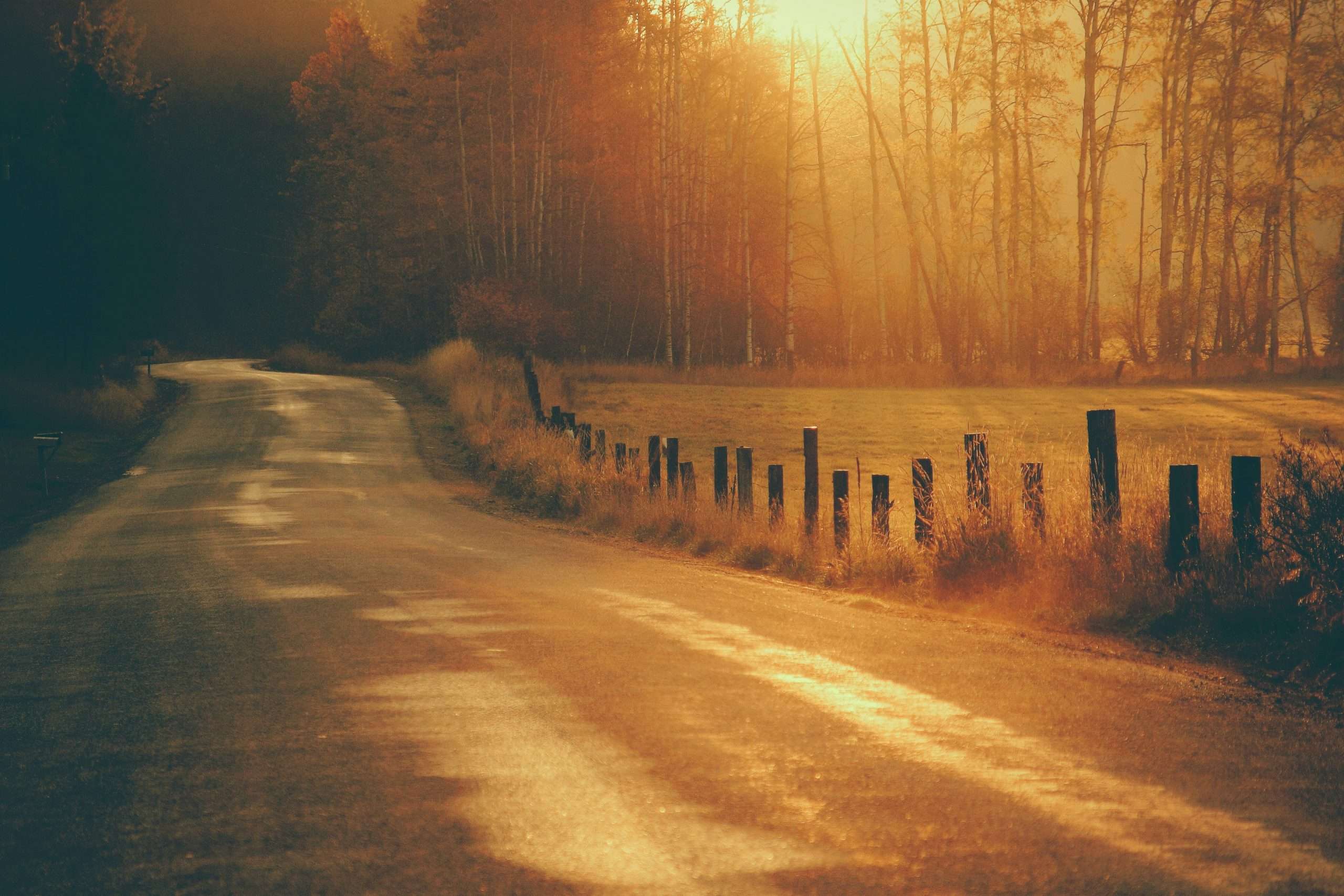 Photo of a country road scene