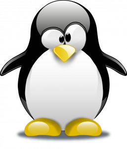 Image of a Tux penguin.