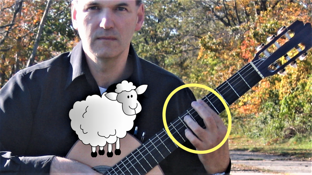 Person playing guitar holding down a bar chord with a sheep looking at the barre chord.